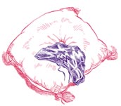pillow and undies